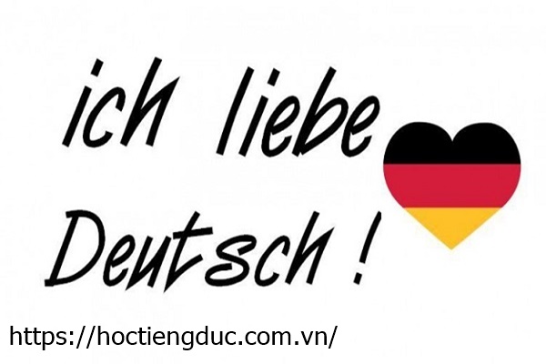 Cấu trúc câu trong tiếng Đức từ cơ bản đến nâng cao